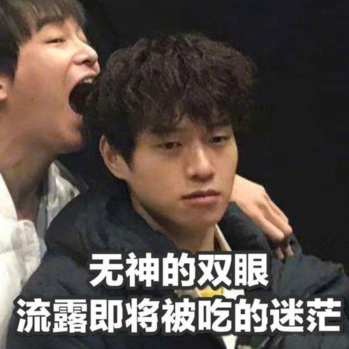 王大陸魏大勛彭昱暢一起拍的電影 王大陸魏大勛彭昱暢聯合主演了什么電影