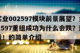 金禾實業002597模塊前景展望？金禾實業002597重組成功為什么會跌？這些要仔細看！的簡單介紹