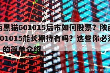 陜西黑貓601015后市如何股票？陜西黑貓601015能長期持有嗎？這些你必須知道！的簡單介紹