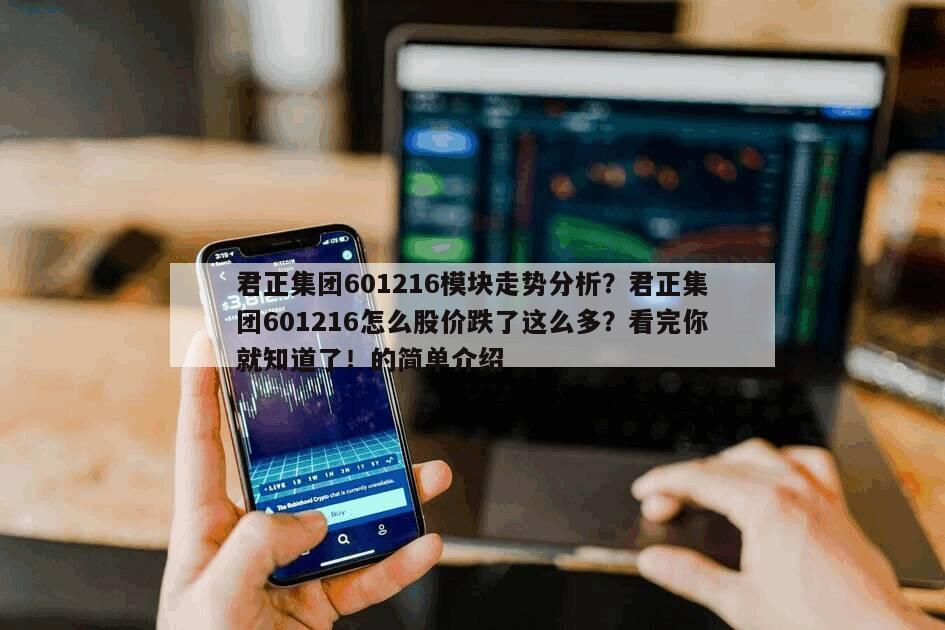 君正集團601216模塊走勢分析？君正集團601216怎么股價跌了這么多？看完你就知道了！的簡單介紹