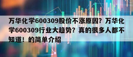 萬華化學600309股價不漲原因？萬華化學600309行業大趨勢？真的很多人都不知道！的簡單介紹