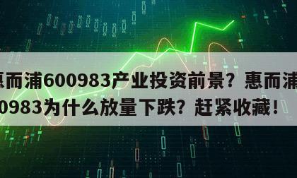 惠而浦600983產業投資前景？惠而浦600983為什么放量下跌？趕緊收藏！