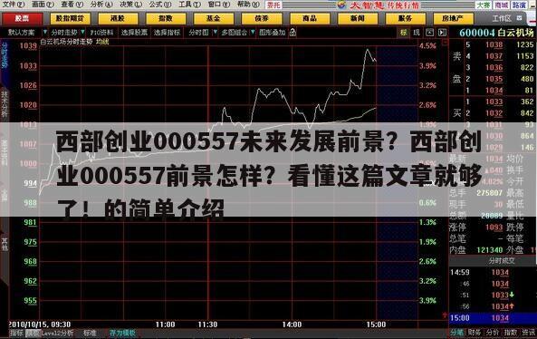 西部創業000557未來發展前景？西部創業000557前景怎樣？看懂這篇文章就夠了！的簡單介紹