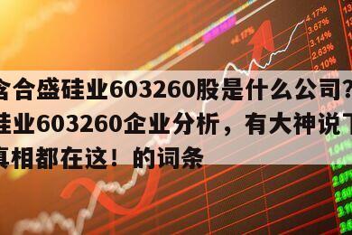 包含合盛硅業603260股是什么公司？合盛硅業603260企業分析，有大神說下嗎？真相都在這！的詞條