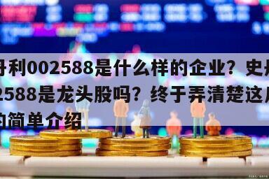 史丹利002588是什么樣的企業？史丹利002588是龍頭股嗎？終于弄清楚這幾點！的簡單介紹