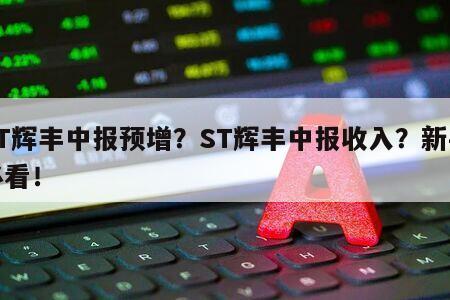 ST輝豐中報預增？ST輝豐中報收入？新手必看！