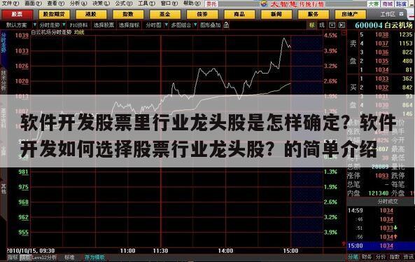 軟件開發股票里行業龍頭股是怎樣確定？軟件開發如何選擇股票行業龍頭股？的簡單介紹