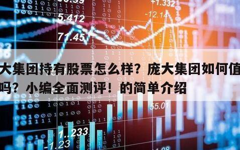 龐大集團持有股票怎么樣？龐大集團如何值得買嗎？小編全面測評！的簡單介紹