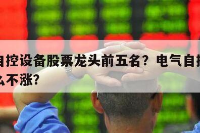電氣自控設備股票龍頭前五名？電氣自控設備為什么不漲？
