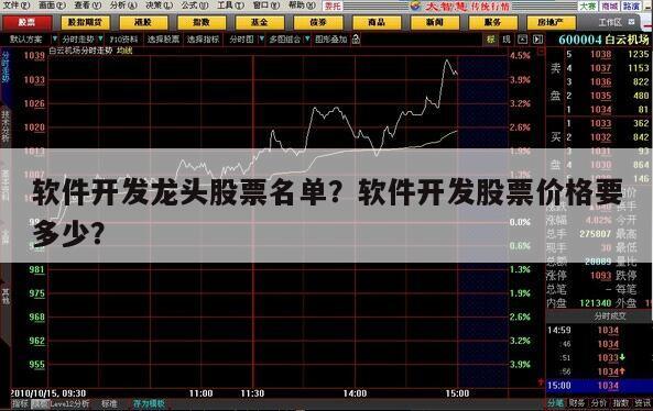 軟件開發龍頭股票名單？軟件開發股票價格要多少？