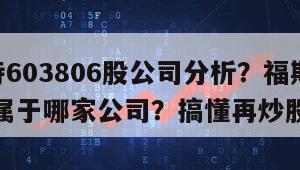 福斯特603806股公司分析？福斯特603806屬于哪家公司？搞懂再炒股才穩！