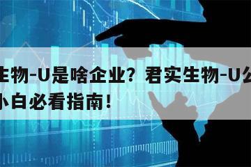 君實生物-U是啥企業？君實生物-U公司介紹？小白必看指南！