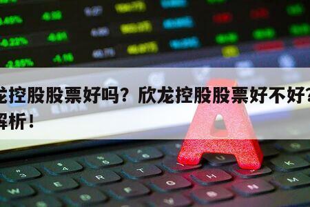 欣龍控股股票好嗎？欣龍控股股票好不好？一文解析！