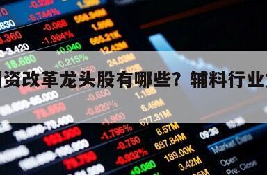 輔料國資改革龍頭股有哪些？輔料行業龍頭股老大？