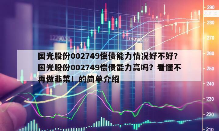 國光股份002749償債能力情況好不好？國光股份002749償債能力高嗎？看懂不再做韭菜！的簡單介紹