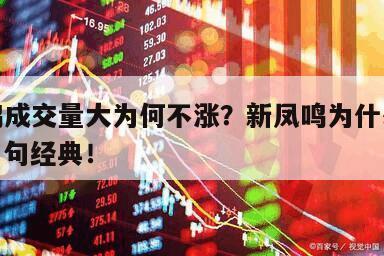新鳳鳴成交量大為何不漲？新鳳鳴為什么不大漲？句句經典！