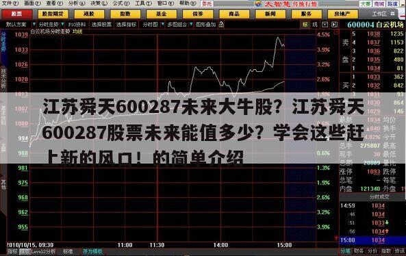 江蘇舜天600287未來大牛股？江蘇舜天600287股票未來能值多少？學會這些趕上新的風口！的簡單介紹