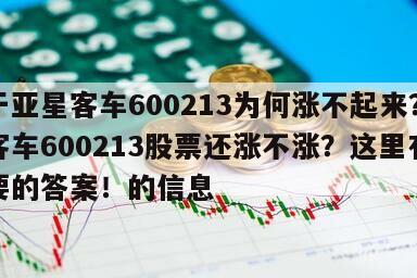 關于亞星客車600213為何漲不起來？亞星客車600213股票還漲不漲？這里有你想要的答案！的信息