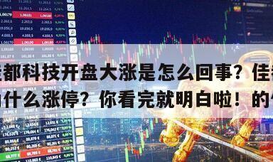 關于佳都科技開盤大漲是怎么回事？佳都科技股票為什么漲停？你看完就明白啦！的信息