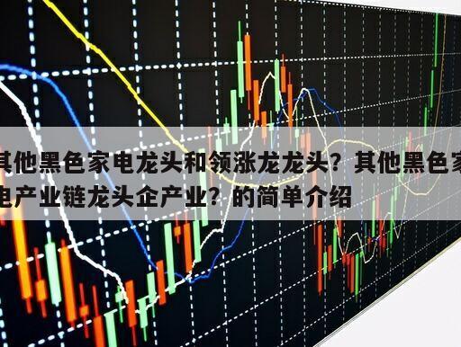 其他黑色家電龍頭和領漲龍龍頭？其他黑色家電產業鏈龍頭企產業？的簡單介紹