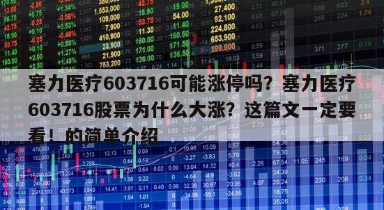 塞力醫療603716可能漲停嗎？塞力醫療603716股票為什么大漲？這篇文一定要看！的簡單介紹