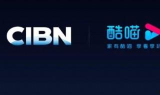 酷喵設置在哪里 酷喵設置在什么位置