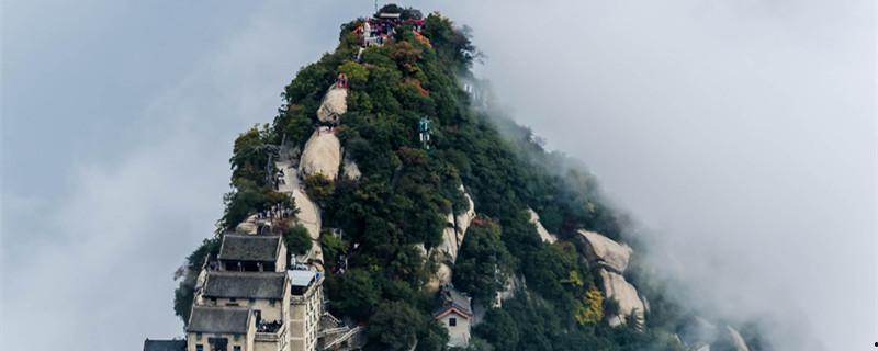 跟我一起去爬山是什么梗