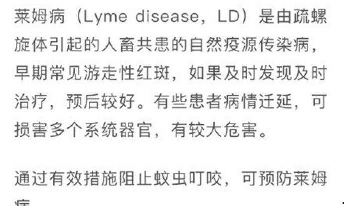 艾薇兒為什么叫酵母、胡蘿卜？艾薇兒和霉霉