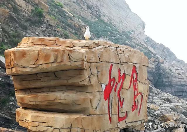 大連蛇島有什么來歷，上面蛇真的很多嗎？